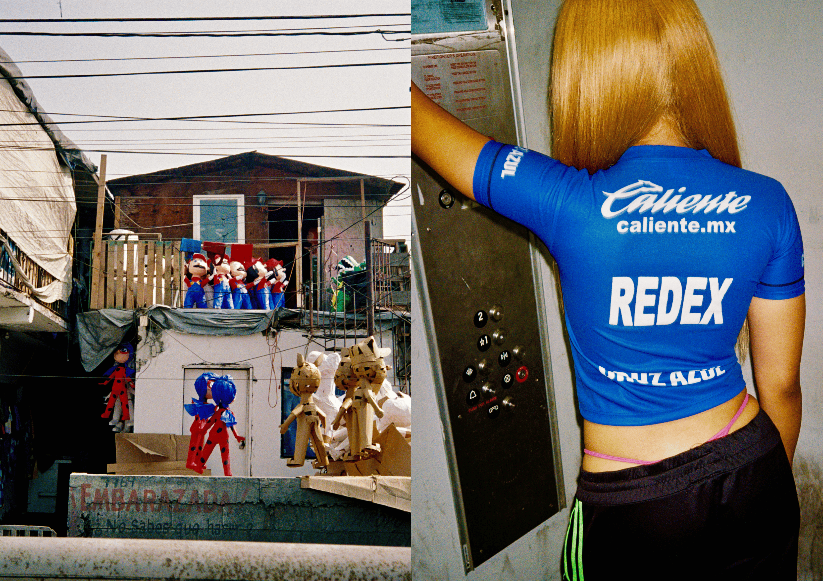 Red Expanse — Book